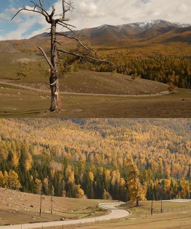 排10月报团游新疆16天小团安排纯玩瓦力棋牌10月报团游新疆十六天最佳安(图2) 排10月报团游新疆16天小团安排纯玩瓦力棋牌10月报团游新疆十六天最佳安(图2)