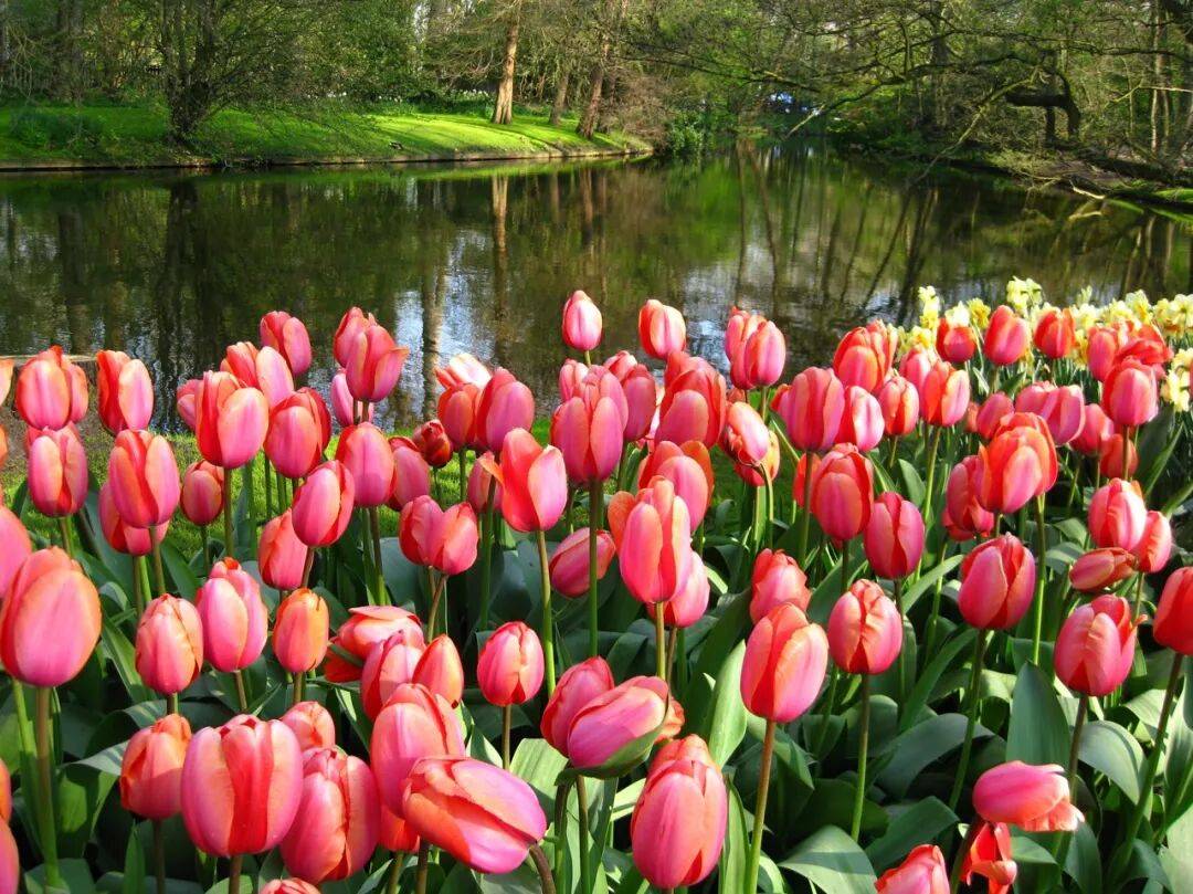 龙的巴黎我们的私藏路线来了瓦力棋牌游戏去不待见马克(图3)