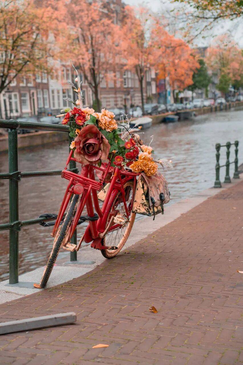 龙的巴黎我们的私藏路线来了瓦力棋牌游戏去不待见马克(图9)