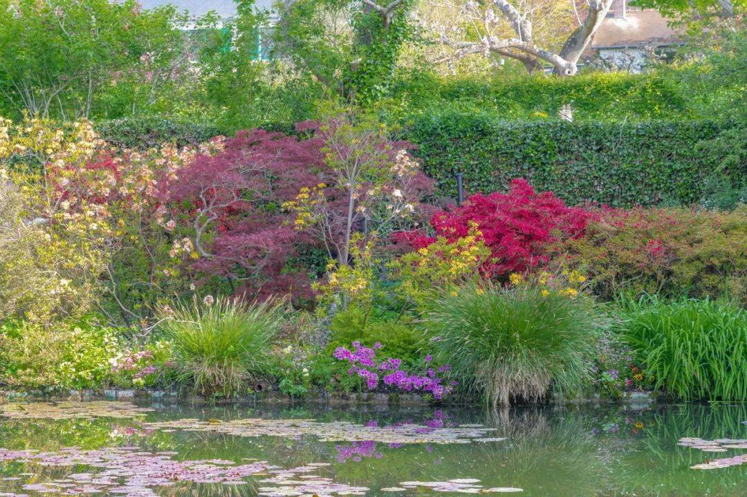 龙的巴黎我们的私藏路线来了瓦力棋牌游戏去不待见马克(图19)